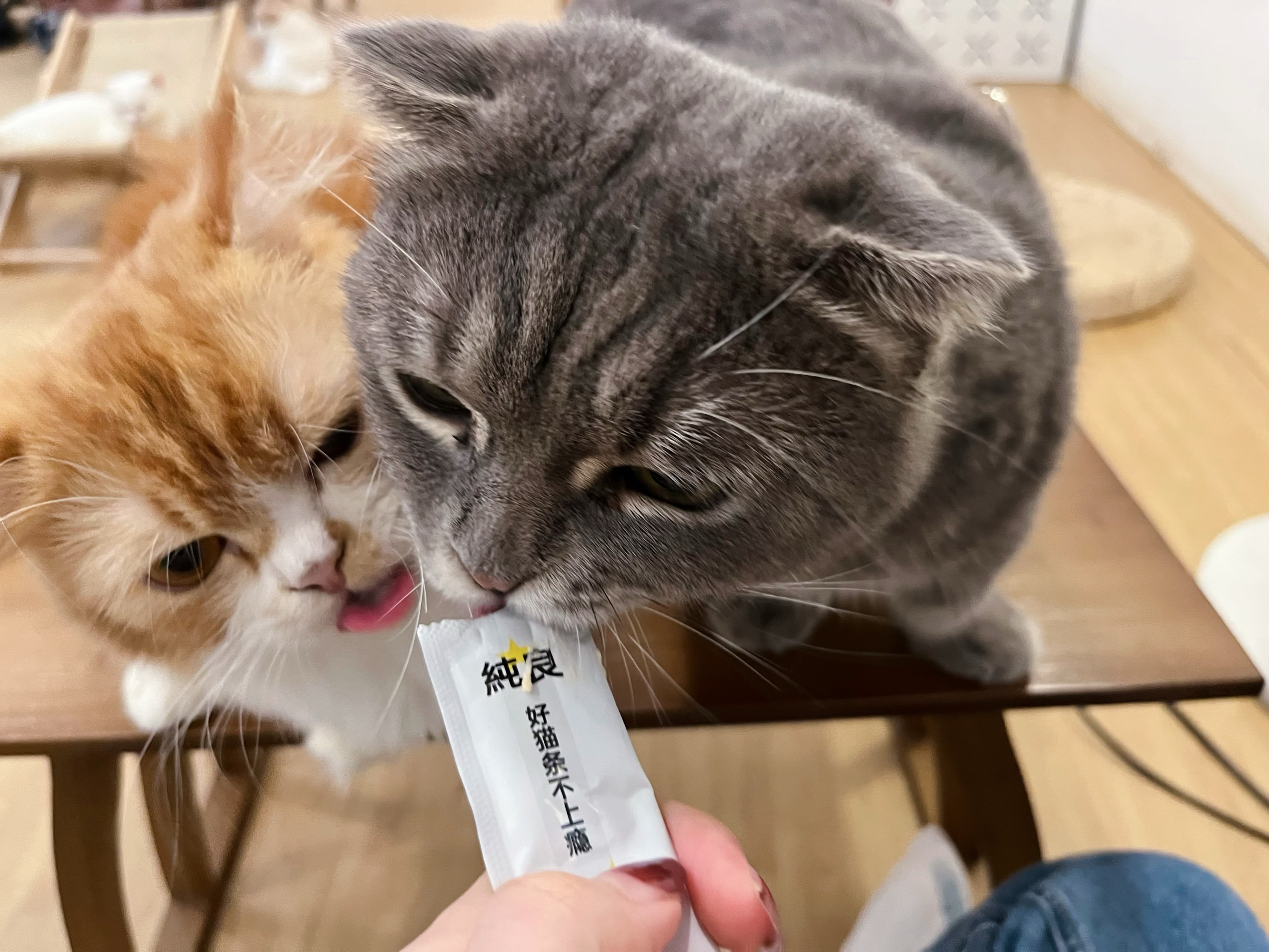 英雄联盟官方直播-??P	貓l	沯滀zo椼^?xV脄葪??,笟?厚?(z賾we噦zos)